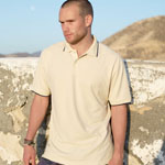 Polo shirt example